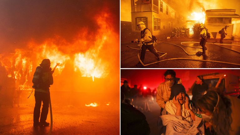 他们之中有 他们之中有