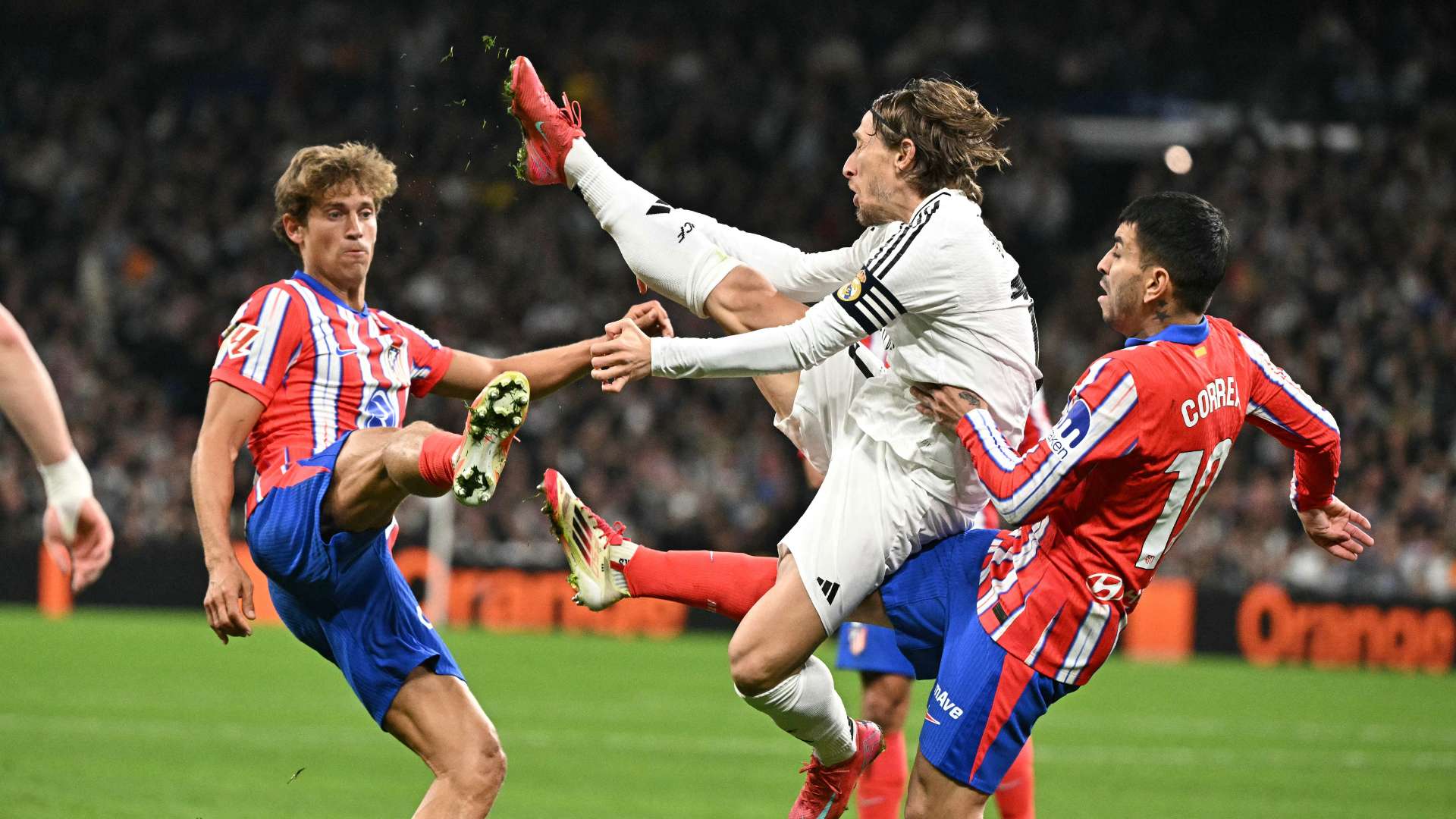 热情的球迷 热情的球迷